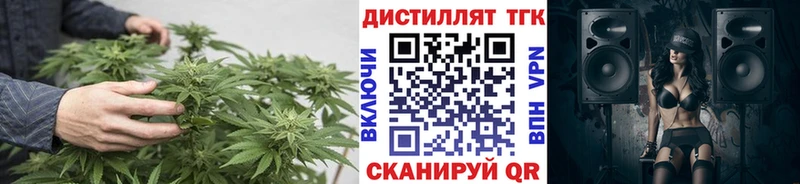 ТГК гашишное масло  Новоузенск 