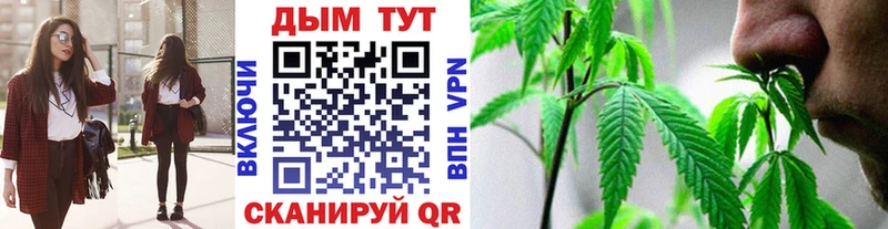 как найти   Новоузенск  Марихуана THC 21% 